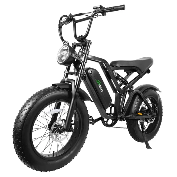 Electric Motorcycle Off-road eBike MTB - FXH009 - Image 2